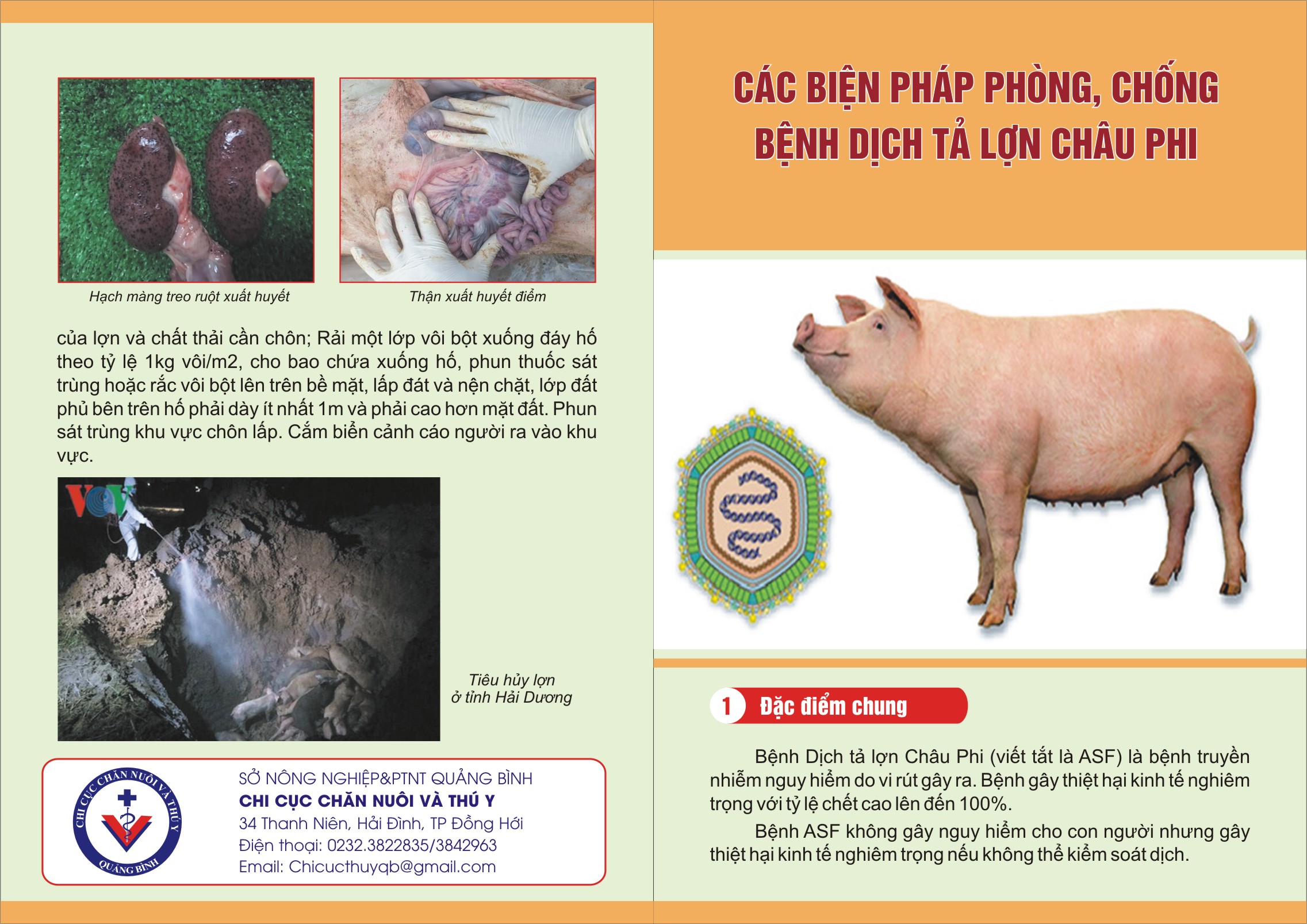 Đắk Lắk thực hiện nghiêm các biện pháp phòng, chống bệnh Dịch tả lợn Châu Phi